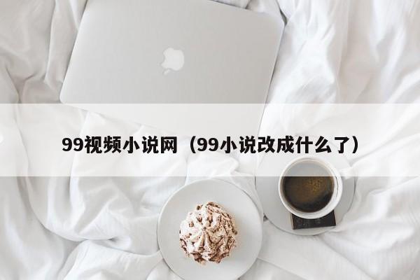 99视频小说网（99小说改成什么了）