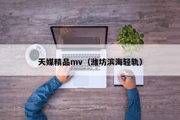 天媒精品mv（潍坊滨海轻轨）