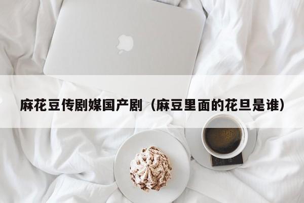 麻花豆传剧媒国产剧(麻豆里面的花旦是谁)
