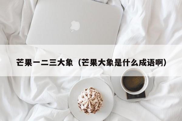芒果一二三大象(芒果大象是什么成语啊)
